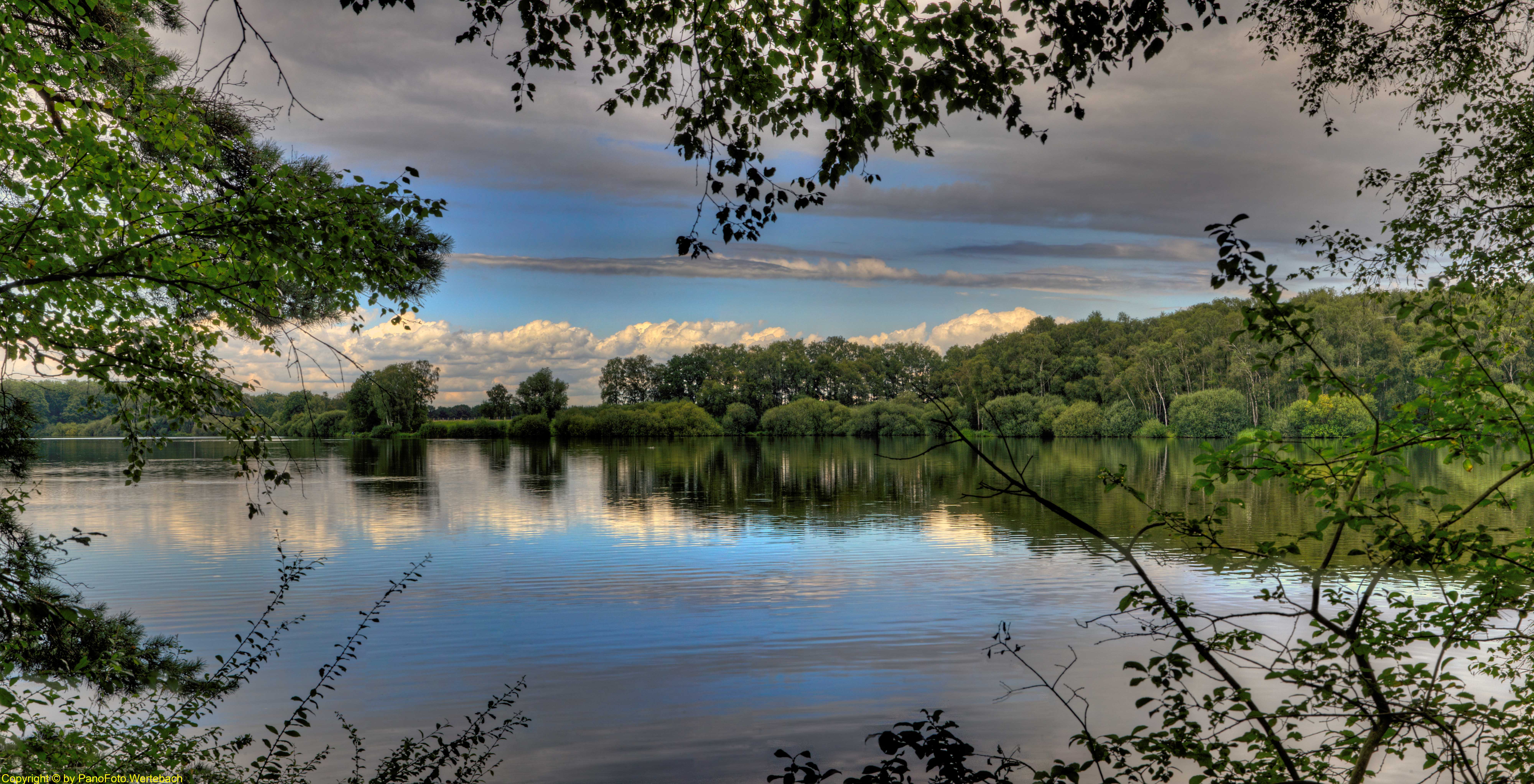 (c) Fdp-kv-cloppenburg.de